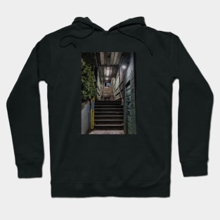 Cat in the stairs Hoodie